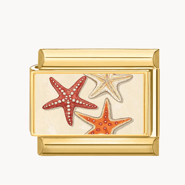 Charm étoiles de mer orange